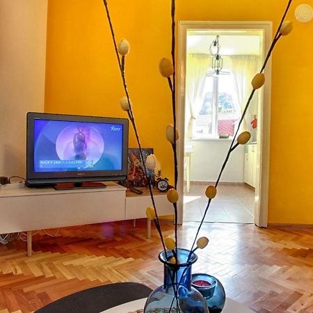 Terrace Home - Three Bedrooms City Center بلوفديف المظهر الخارجي الصورة